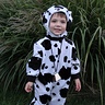Photo #1 - The cow says moo