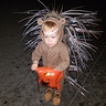 Photo #1 - Cute Baby Porcupine