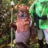 Photo #2 - Cute Ewok