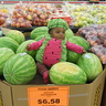 Photo #6 - Lil' Watermelon