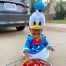 Photo #1 - Baby Donald Duck - Kelano