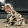 Photo #1 - The cutest little cow!