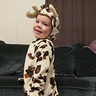 Photo #4 - Cutest Little Cow