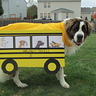 Dog School Bus Costume