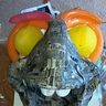 Photo #6 - Making of Dory- Step 2: Paper Mache