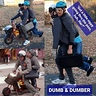 Photo #6 - Dumb & Dumber, Harry & Lloyd