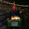 Photo #2 - Dumpster fire by night