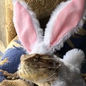Photo #3 - Easter Bunny
