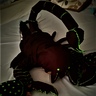 Photo #4 - Glow in the dark emperor scorpion