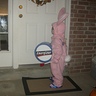 Photo #3 - Energizer Bunny