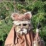 Photo #2 - Ewok Brothers