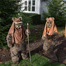 Photo #4 - Ewok Brothers