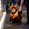 Photo #1 - Ewok Toddler stops for a rest.