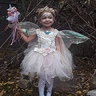 Photo #2 - Princess Fairy