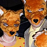 Photo #2 - Mr Fox and Mrs Fox