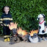 Photo #4 - Fireman Family