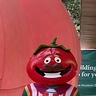 Photo #6 - Fortnite TomatoHead