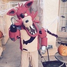 Photo #1 - Hi.  I'm Foxy!