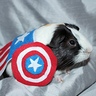 Photo #2 - Captain America