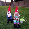 Photo #2 - Garden Gnomes