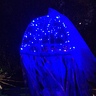 Photo #6 - Glowing jellyfish