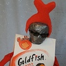 Photo #2 - Goldfish Piranha