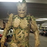 Photo #10 - Groot