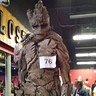 Photo #2 - Groot from Guardians of the Galaxy