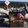 Photo #4 - Happy lil Octopus in Treasure Chest