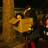 Photo #1 - Woman carrying her Head on a Box