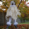 Photo #2 - Hedwig loves fall! 