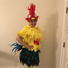 Photo #2 - Heihei from Moana
