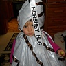 Photo #3 - Hershey Hug costume