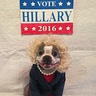 Photo #3 - Hillary