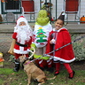 Photo #2 - How the Grinch Stole Halloween