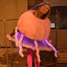 Photo #3 - Jellyfish
