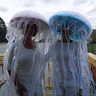 Photo #2 - Jellyfish costumes