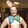 professional roger rabbit costume