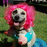 Photo #1 - Chiquitina rocking her Katy Perry in California Gurls outfit