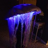 Photo #2 - LED Jelly Fish