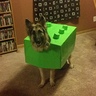 custom dog lego