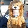 Photo #1 - Jaxson the Lion