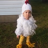 Photo #1 - Little Free Range Chicken