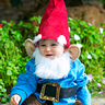 Photo #1 - Little Garden Gnome