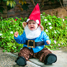 Photo #3 - Little Garden Gnome