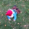Photo #5 - Gnome Down!