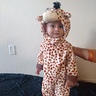 Photo #1 - Little Giraffe