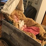 Photo #2 - Mary in her covered wagon