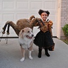 Photo #1 - Spider Princess with her pet spider