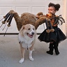 Photo #2 - Spider Princess with large and small spider pets
